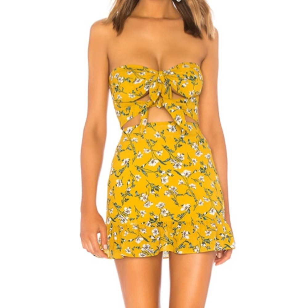 Tularosa strapless dress